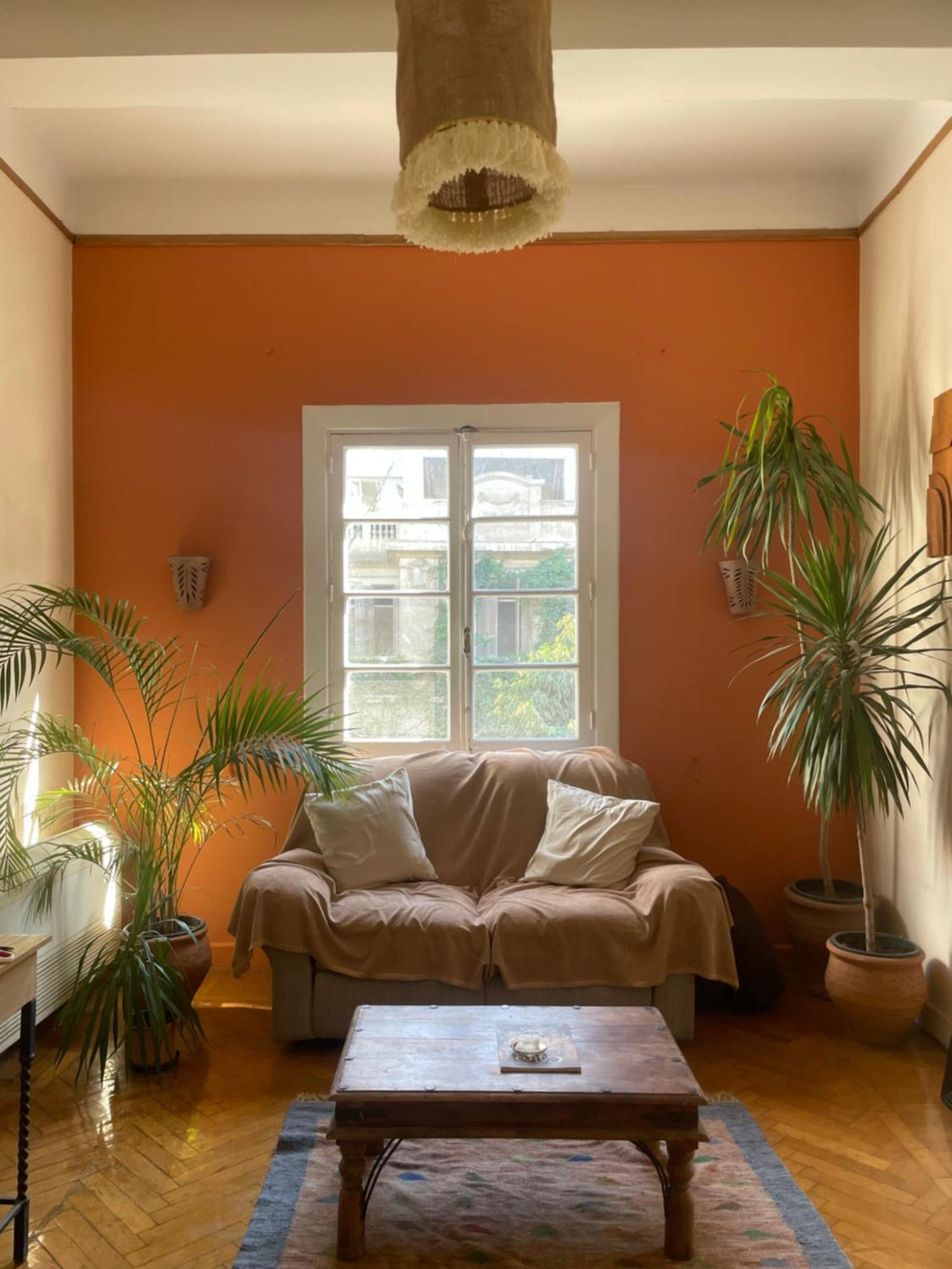 Relaxing Gem In Downtown Apartment